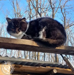 ��� ������: ������� ������ �������