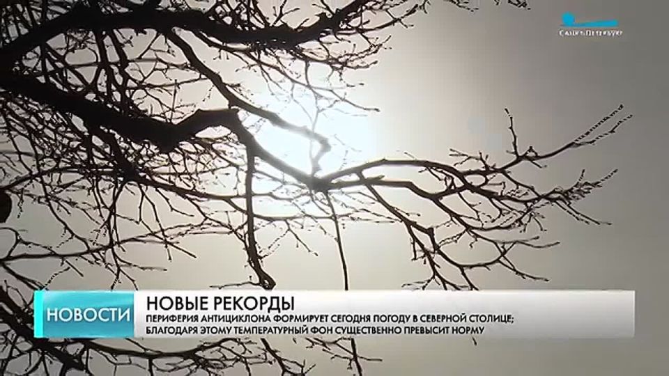 � ���������� ������ ���� ������ ��������� �����: ����� �� +15 �������� 14 �����?