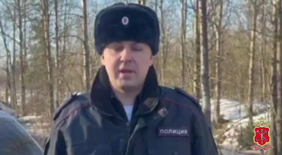 Полицией проводится проверка по факту смертельного ДТП в Гатчинском районе