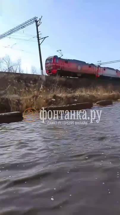 ����� ���������� �������� ��������