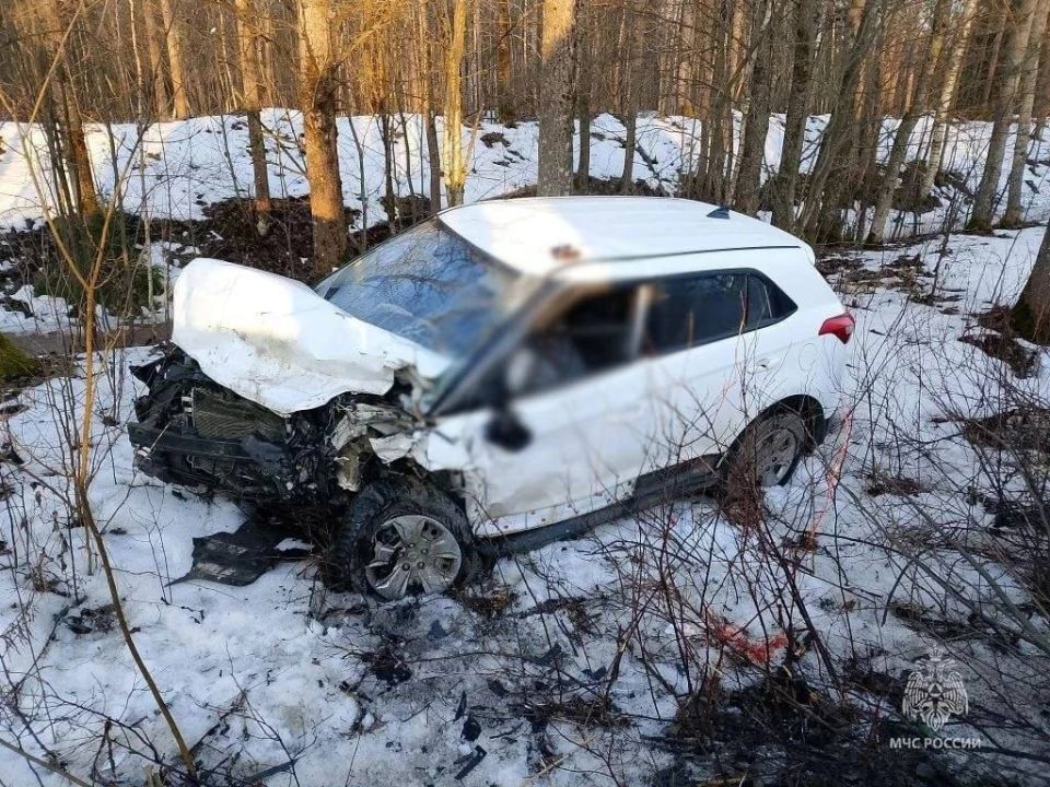 50-������ ������� ����� � ���������� ������ ��� ��������