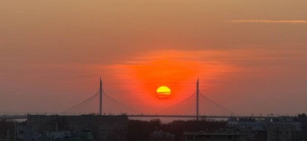 ������ ���� ��������� ������ �������