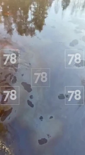 «Метров за 40-50 пахнет солярой»