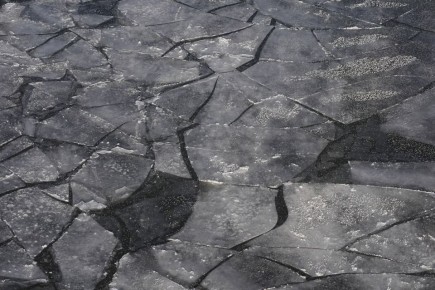 С оторвавшейся льдины в акватории Финского залива эвакуировали десятерых рыбаков