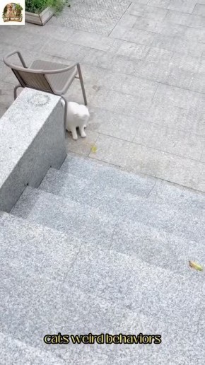 ������� - ��� ��� ���, ��� ����� ���� � ����� � ����� ������������ ��-����������!