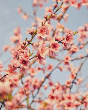 ���� ����: ������, ���-�� �� �������, ����� �������, � � �� �� ����� ���������� ���-�� �������