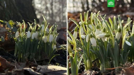 В эти выходные в Петербурге по-настоящему тепло