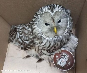 ���� ������ �������� � ������ ����������, � ��������� � ������