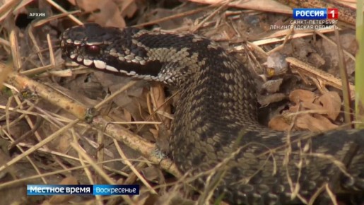 Ҹ���� ������ ��������� ���� � ���������� � ������������� �������