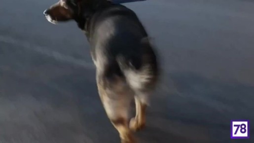 � ���������� �� ���������� ������������� ������� �������� ���� �� ���������