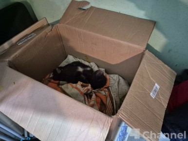 ��������������� ����� ������ ����������, �������� ��������� � "�����"