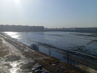 Бывшие поля за Мурино превратились в настоящее море