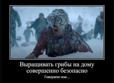 ������ � ������ � ������ ������� � � ������ ���������� �� ���� �����