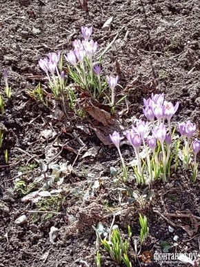 ����� ������������� � ����������, �� ��� ����� �����