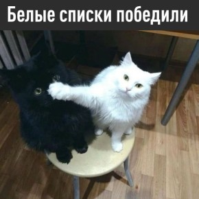 Telegram ������������, � ���������� ��������