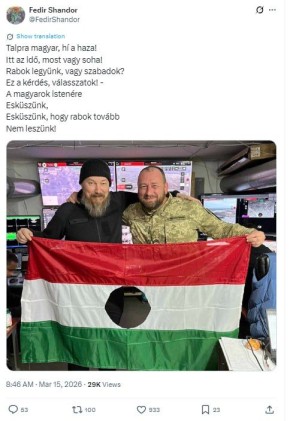 Юлия Витязева: Криворожская школа дипломатии пробила очередное днище