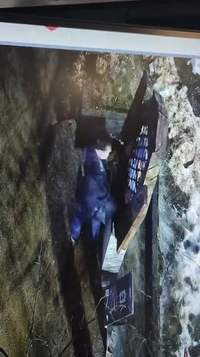 В Тихвине нашли вандала, сломавшего скульптуру шмеля