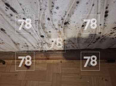 Плесень поглотила муниципальную квартиру под Приозерском, где живёт ребёнок с врождённой патологией лёгких