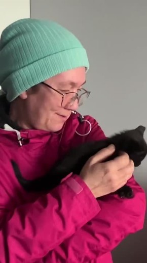 Неравнодушные петербуржцы подарили дом для четырех пушистых котят, которых выбросили на помойку в сумке