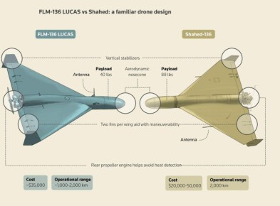 ������ ����������: ���, ��� � ������ ����������� ��������, ������� ���� � ������� �����������