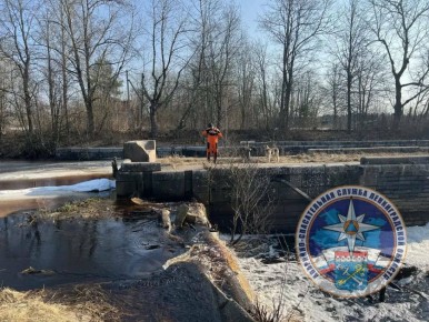 Спасатели помогли собаке, оказавшейся на стоповой полосе Новоладожского канала