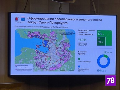 Депутаты окончательно приняли закон о создании зелёного пояса Петербурга