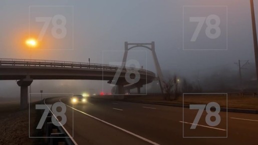 Полный Хоа-хоа-хоа (фанаты «Сумерек» есть?) накрывает Петербург