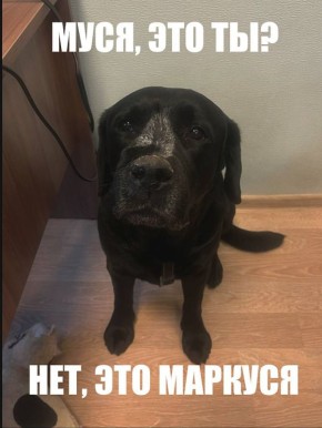 ���� ���� � �������� ���������