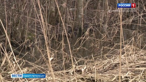 ���� ������� 17-������� ��������� ���������� � ������� ������������