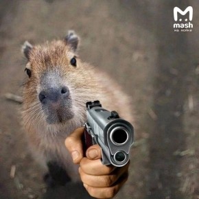 ������ ����� "��������" �������? �� �� ����� ������� �������� ��� � ������ ����� ��� �������� ���� ���������� ������ �� ����������� ������� � ���� ������