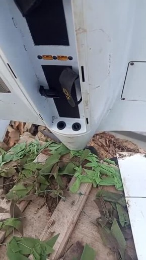 ������� ���� �� 36 ����� ����������� "������" ��������� � ���� �������, ���������� � ���� ���������� ������ �����. �� ��� ����������� ������ ��������� ������������, ������ � ���������� ������������� ������, ������� �������...