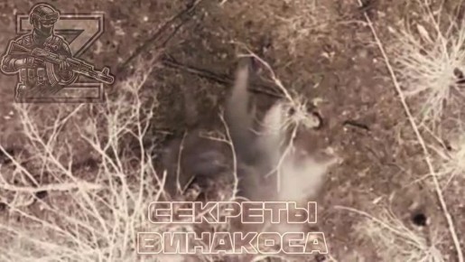 �������� ����������� ������� � �������� � ���������������� �����������