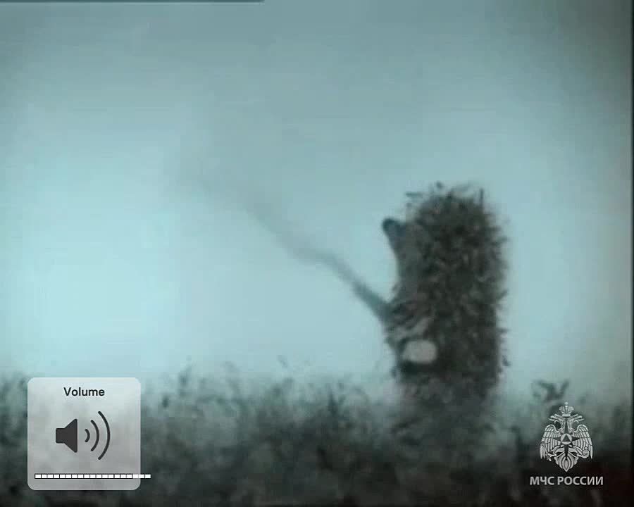 #���_���������� �������������: �� ���������� ���� "������-�������� ����", � �����-���������� � ��������� ���� ��������� ����� � ���������� 500 ������ � �����.