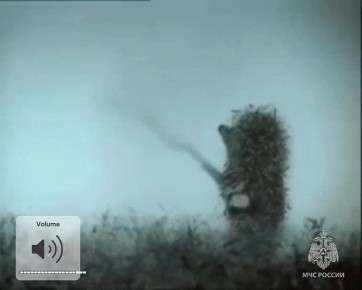 #МЧС_Петербурга предупреждает: по информации ФГБУ "Северо-Западное УГМС", в Санкт-Петербурге в ближайшие часы ожидается туман с видимостью 500 метров и менее.