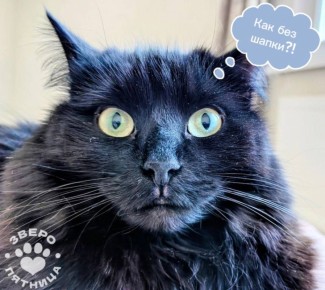 ������� �������� ��� ������ � ������ ���� ��� �����