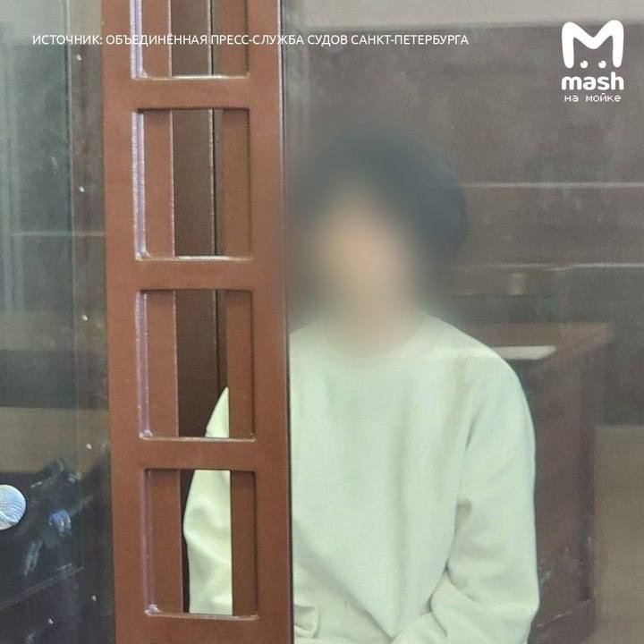 Подростка отправили в СИЗО на два месяца по делу об убийстве с расчленением у станции Кондакопшино