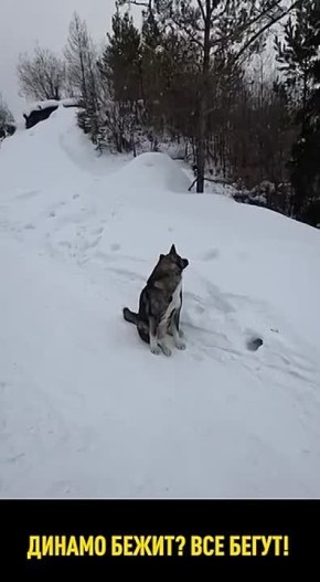 ������� ������ ��������� � ����� � ������ ������������ � ���������� �������� ���������