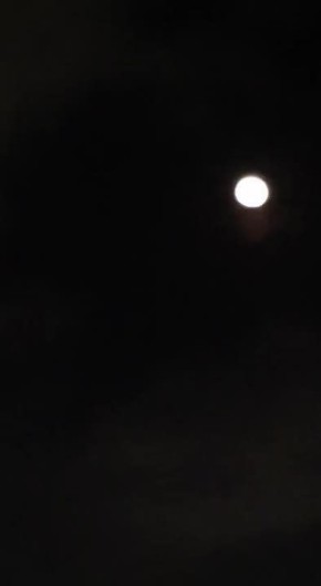 �������� ������ � ����������� ����������� ��� ������