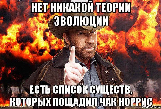В память о легенде, самом брутальном человеке во вселенной и актере из любимых фильмов – собрали те самые мемы В память о легенде, самом брутальном человеке во вселенной и актере из любимых фильмов – собрали те самые мемы