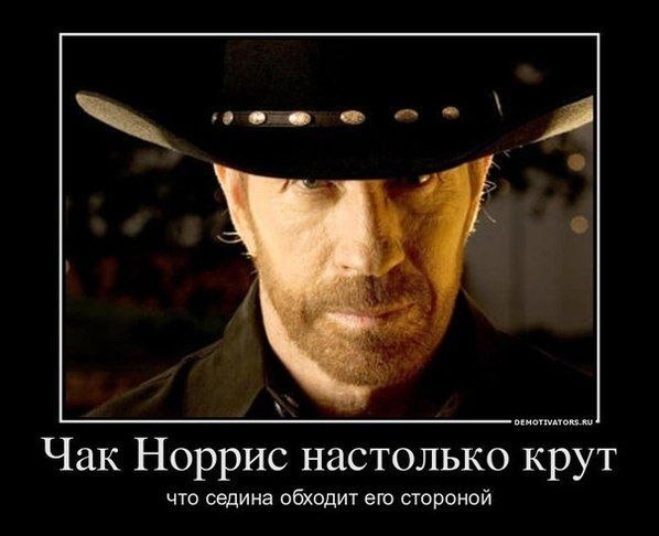 В память о легенде, самом брутальном человеке во вселенной и актере из любимых фильмов – собрали те самые мемы В память о легенде, самом брутальном человеке во вселенной и актере из любимых фильмов – собрали те самые мемы