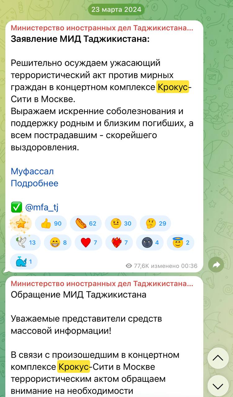 Официальная позиция МИД Таджикистана по теракту в «Крокусе» заключается в том, что теракт они осуждают, но то, что его совершили уроженцы и граждане их государства не признают