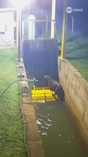 ���� ����: � ����������� ����� ����-����� ������ ������, �������� � ����� �������������� � ���������