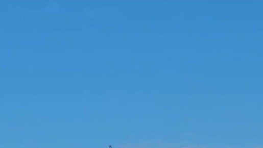 Дрон-ПВО "Елка" осуществляет кинетический перехват БПЛА самолетного типа "Майя" ВСУ