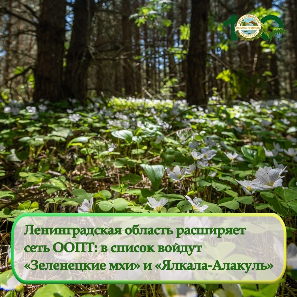 В Ленобласти в 2026 году появится четыре новые ООПТ