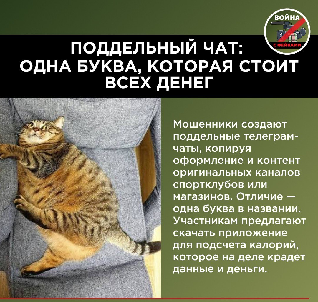 Желание многих граждан привести себя в форму к лету стало новой «золотой жилой» для мошенников Желание многих граждан привести себя в форму к лету стало новой «золотой жилой» для мошенников