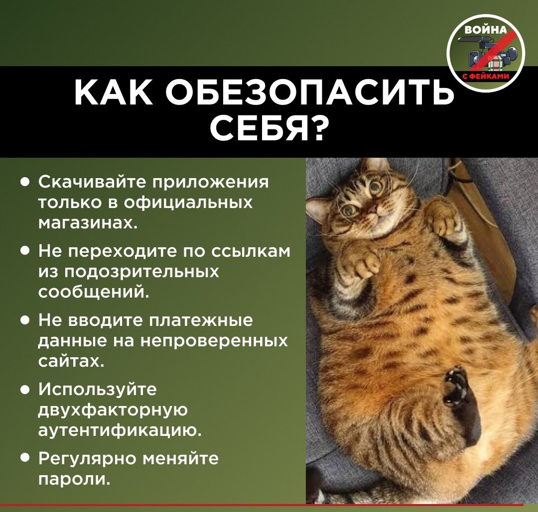 Желание многих граждан привести себя в форму к лету стало новой «золотой жилой» для мошенников Желание многих граждан привести себя в форму к лету стало новой «золотой жилой» для мошенников