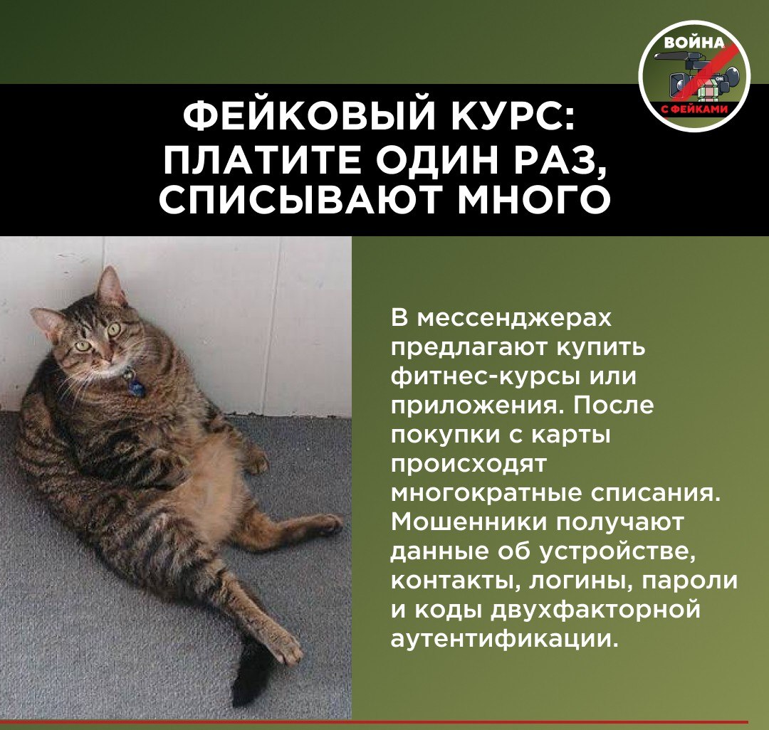 Желание многих граждан привести себя в форму к лету стало новой «золотой жилой» для мошенников Желание многих граждан привести себя в форму к лету стало новой «золотой жилой» для мошенников