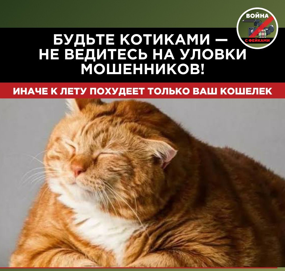 Желание многих граждан привести себя в форму к лету стало новой «золотой жилой» для мошенников