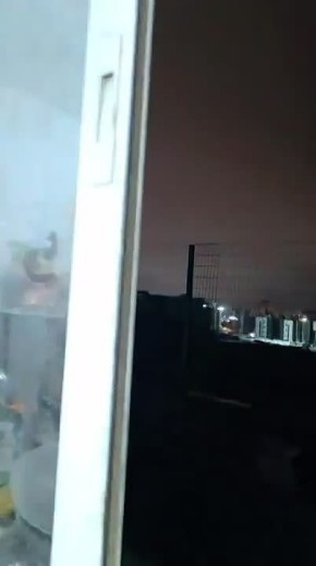 ������ ����������: �������. ����. ���������� ������ �������� �������������� ������