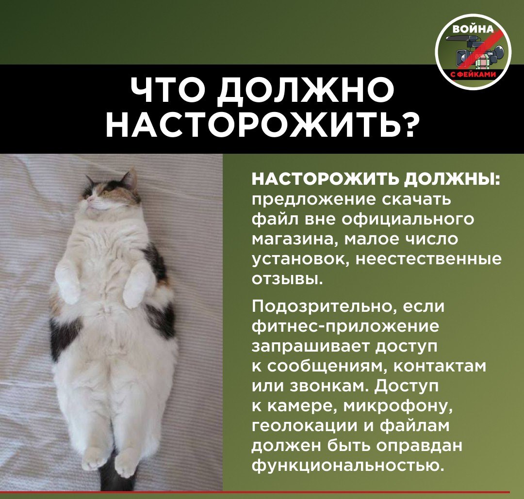 Желание многих граждан привести себя в форму к лету стало новой «золотой жилой» для мошенников Желание многих граждан привести себя в форму к лету стало новой «золотой жилой» для мошенников